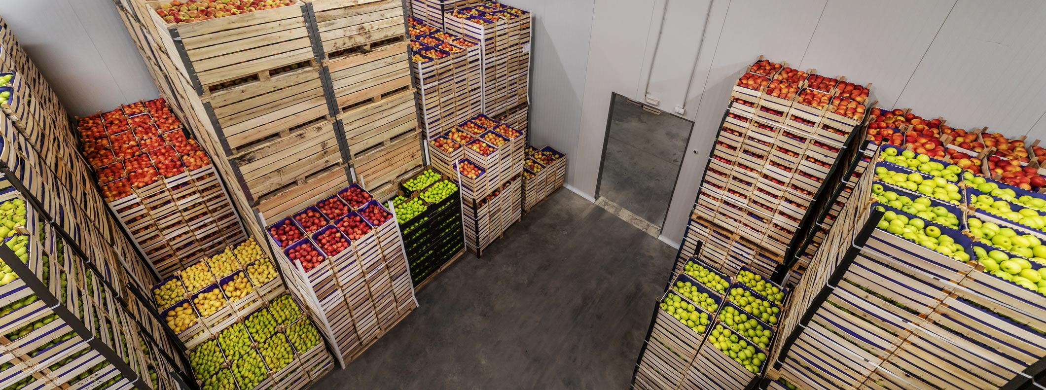 Cash Money Exchange & Finance| Cheque Cashing | Money Exchange | Cash 4 Gold | Cash for Gold in Mississauga | Cash for Gold in Etobicoke