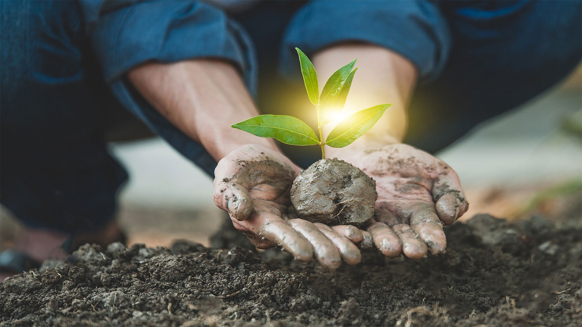 arcade near me | arcade games near me | games near me | claw machine | pac man | zone bowling | pac mania | arcade near me